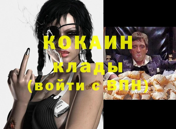 крисы Балахна