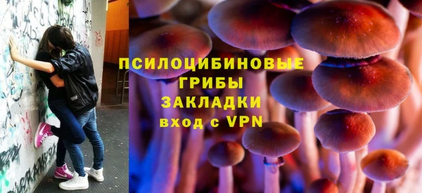 крисы Балахна